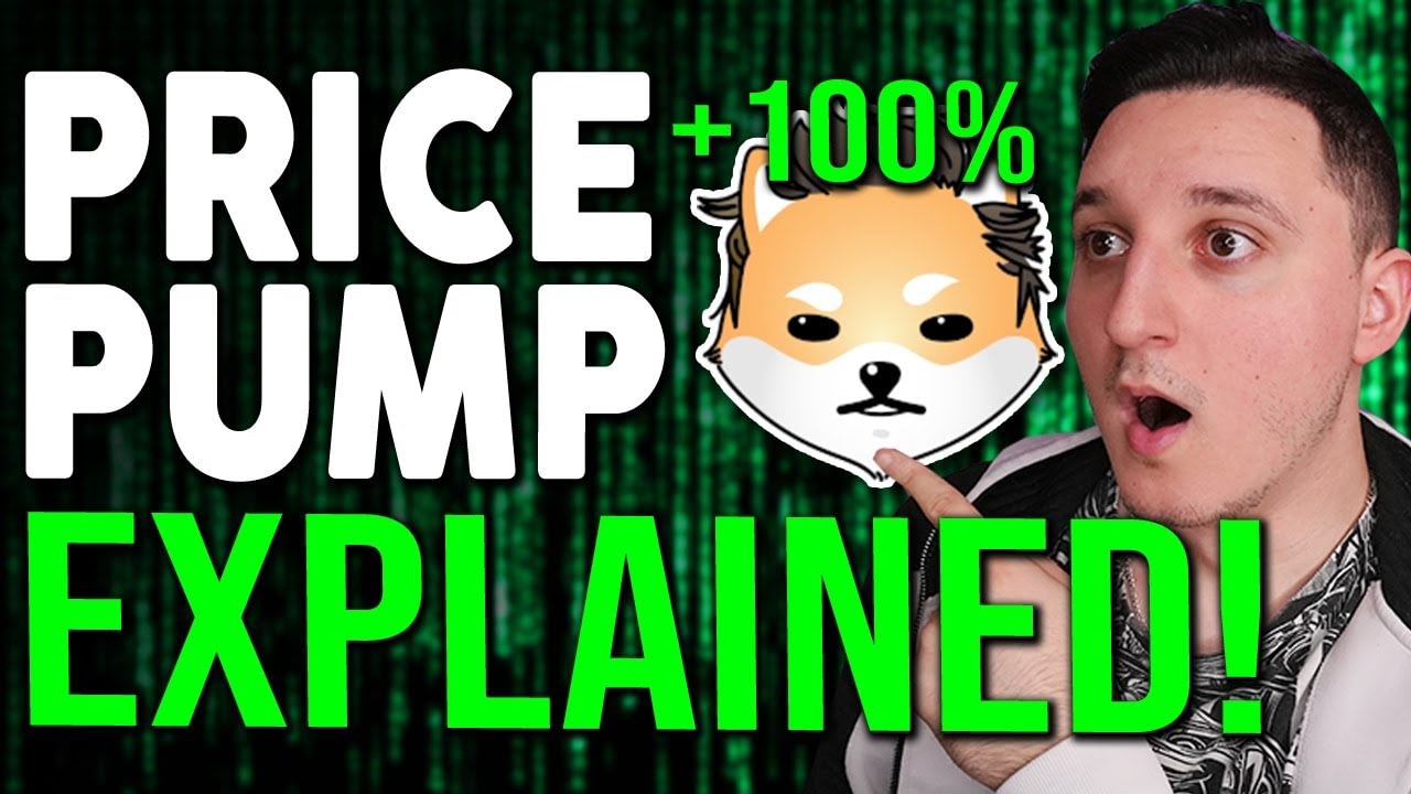 DOGELON MARS HUGE PRICE SPIKE ! PRICE SPIKE EXPLAINED ! THIS IS WHAT HAPPENED !