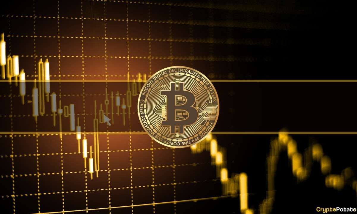 Is the Bottom In? Bitcoin Remains Steady as Stocks Fall