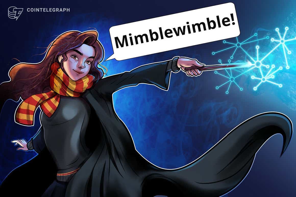 What is Mimblewimble, and how does it work?