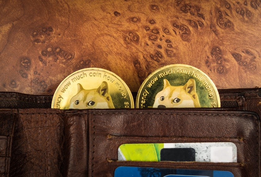 Robinhood CEO on how Dogecoin can be improved to outperform VISA